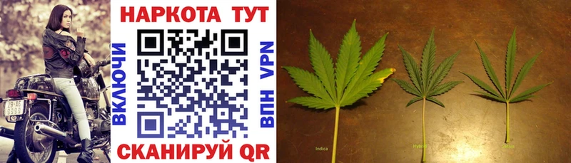 Что такое Грязи Кокаин  Мефедрон  Альфа ПВП  Бошки Шишки  ГАШИШ 