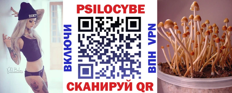 blacksprut tor  купить наркоту  Грязи  Псилоцибиновые грибы Cubensis 